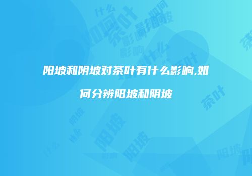 阳坡和阴坡对茶叶有什么影响,如何分辨阳坡和阴坡