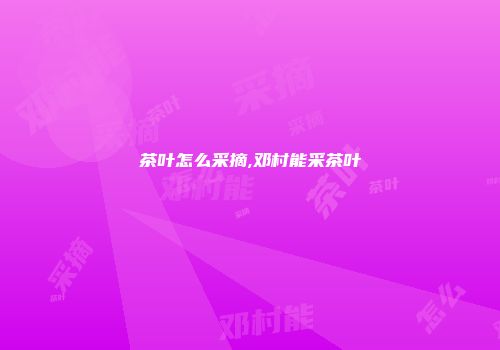 茶叶怎么采摘,邓村能采茶叶