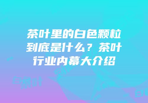 茶叶里的白色颗粒到底是什么？茶叶行业内幕大介绍