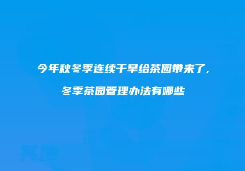 今年秋冬季连续干旱给茶园带来了,冬季茶园管理办法有哪些