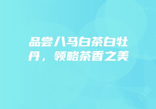 品尝八马白茶白牡丹，领略茶香之美