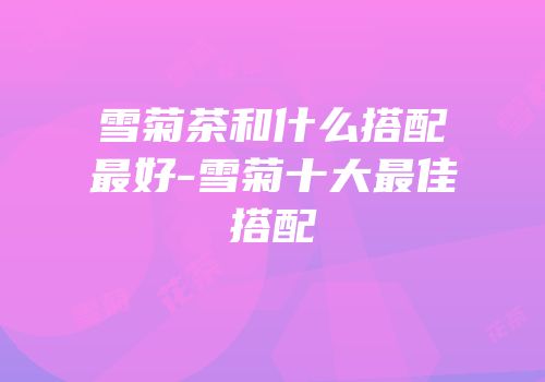 雪菊茶和什么搭配最好-雪菊十大最佳搭配