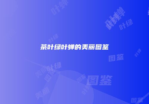 茶叶绿叶蝉的美丽图鉴