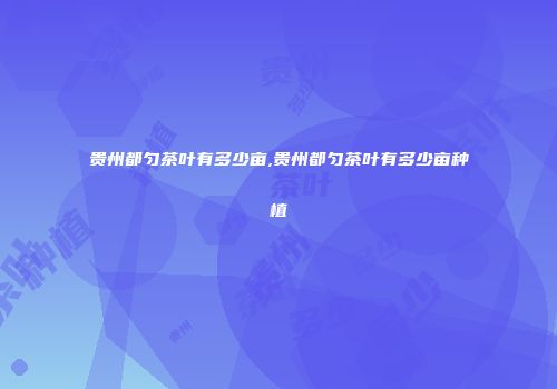 贵州都匀茶叶有多少亩,贵州都匀茶叶有多少亩种植