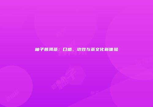 柚子普洱茶：口感、功效与茶文化新体验
