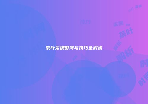 茶叶采摘时间与技巧全解析