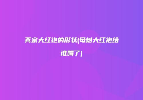 真宗大红袍的形状(母树大红袍给谁喝了)