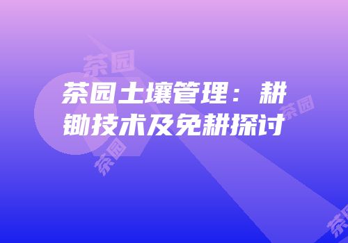 茶园土壤管理：耕锄技术及免耕探讨