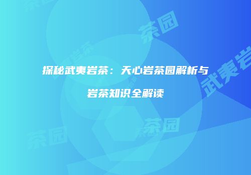 探秘武夷岩茶：天心岩茶园解析与岩茶知识全解读
