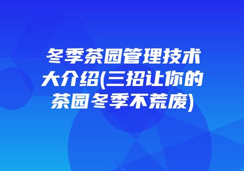 冬季茶园管理技术大介绍(三招让你的茶园冬季不荒废)
