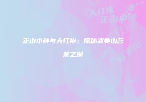 正山小种与大红袍：探秘武夷山茗茶之别