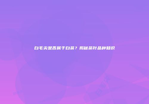 白毛尖是否属于白茶？揭秘茶叶品种知识