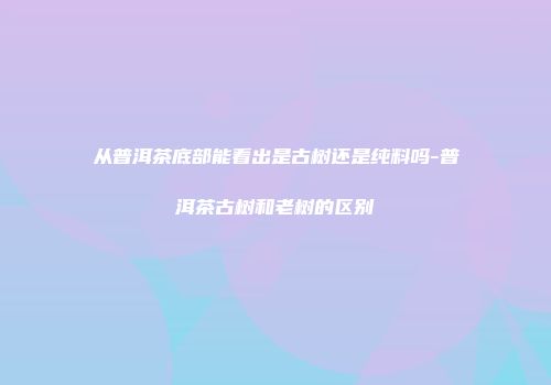 从普洱茶底部能看出是古树还是纯料吗-普洱茶古树和老树的区别