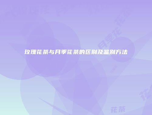 玫瑰花茶与月季花茶的区别及鉴别方法