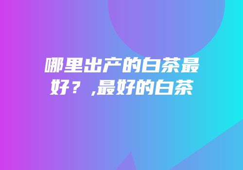 哪里出产的白茶最好？,最好的白茶