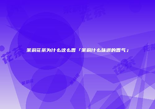 茉莉花茶为什么这么香「茉莉什么味道的香气」