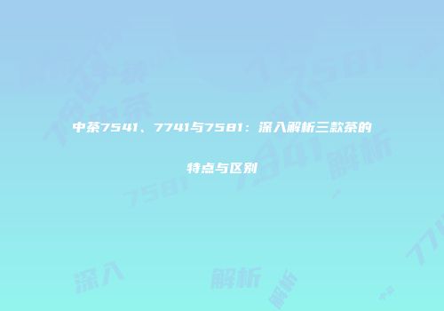 中茶7541、7741与7581：深入解析三款茶的特点与区别