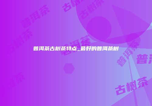 普洱茶古树茶特点_最好的普洱茶树