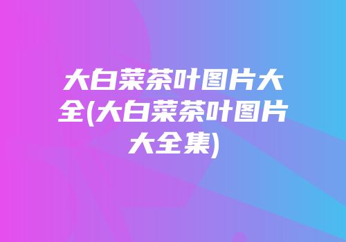 大白菜茶叶图片大全(大白菜茶叶图片大全集)