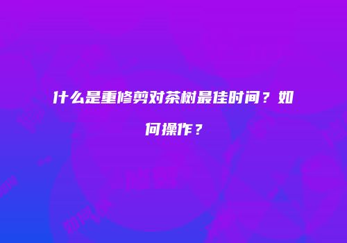 什么是重修剪对茶树最佳时间？如何操作？