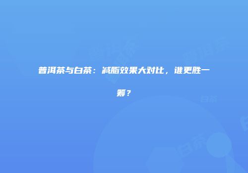 普洱茶与白茶：减脂效果大对比，谁更胜一筹？