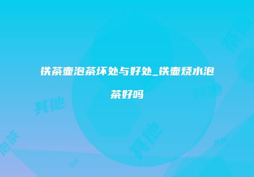 铁茶壶泡茶坏处与好处_铁壶烧水泡茶好吗