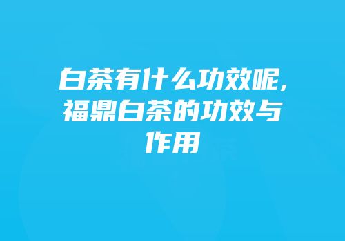 白茶有什么功效呢,福鼎白茶的功效与作用