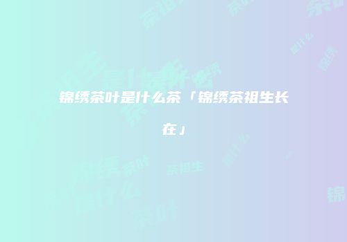 锦绣茶叶是什么茶「锦绣茶祖生长在」