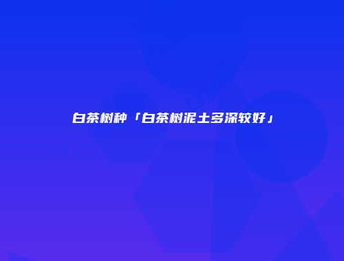白茶树种「白茶树泥土多深较好」