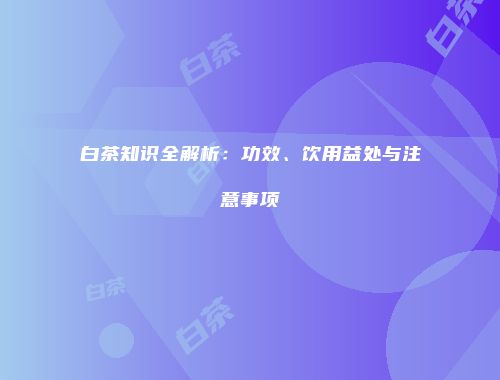 白茶知识全解析：功效、饮用益处与注意事项