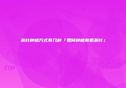 茶叶种植方式有几种「如何种植有机茶叶」