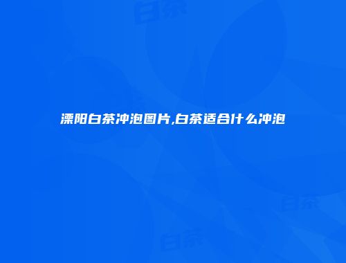 溧阳白茶冲泡图片,白茶适合什么冲泡