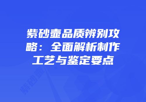 紫砂壶品质辨别攻略：全面解析制作工艺与鉴定要点