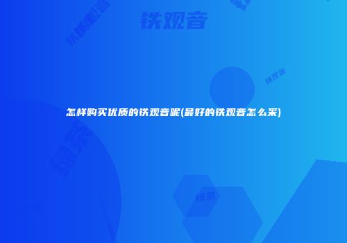 怎样购买优质的铁观音呢(最好的铁观音怎么采)