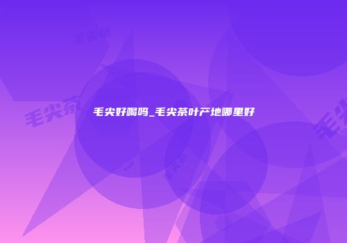 毛尖好喝吗_毛尖茶叶产地哪里好