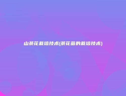 山茶花栽培技术(茶花苗的栽培技术)