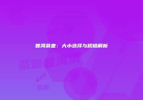 普洱茶壶：大小选择与规格解析