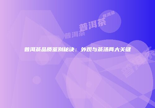 普洱茶品质鉴别秘诀：外观与茶汤两大关键