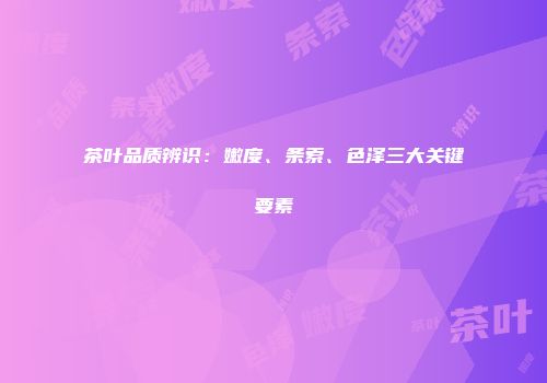茶叶品质辨识：嫩度、条索、色泽三大关键要素