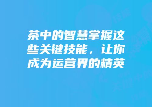 茶中的智慧掌握这些关键技能，让你成为运营界的精英