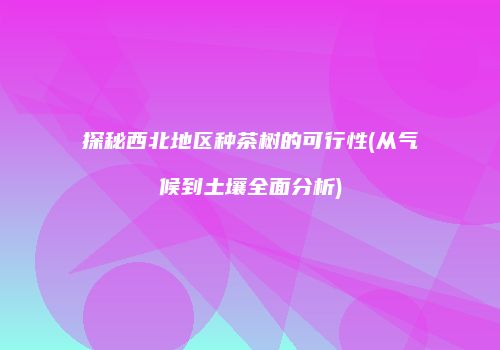 探秘西北地区种茶树的可行性(从气候到土壤全面分析)