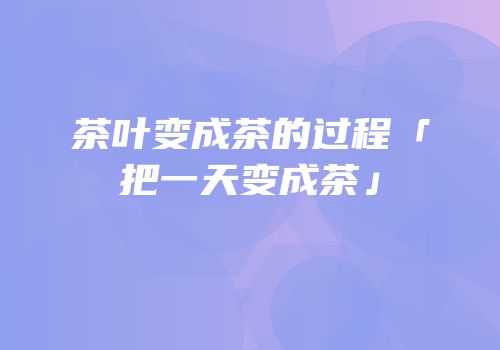 茶叶变成茶的过程「把一天变成茶」