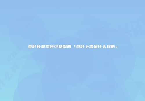 茶叶长黄霉还可以喝吗「茶叶上霉是什么样的」