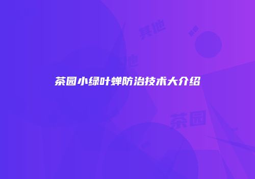 茶园小绿叶蝉防治技术大介绍