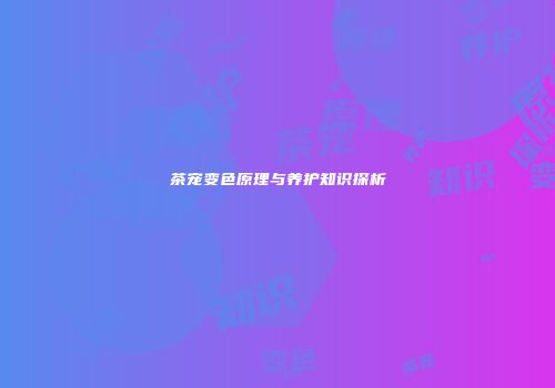 茶宠变色原理与养护知识探析