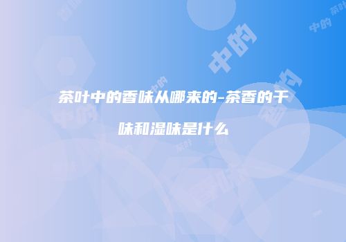 茶叶中的香味从哪来的-茶香的干味和湿味是什么