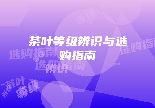 茶叶等级辨识与选购指南