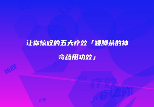 让你惊叹的五大疗效「矮脚茶的神奇药用功效」