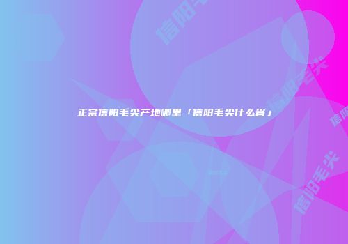 正宗信阳毛尖产地哪里「信阳毛尖什么省」