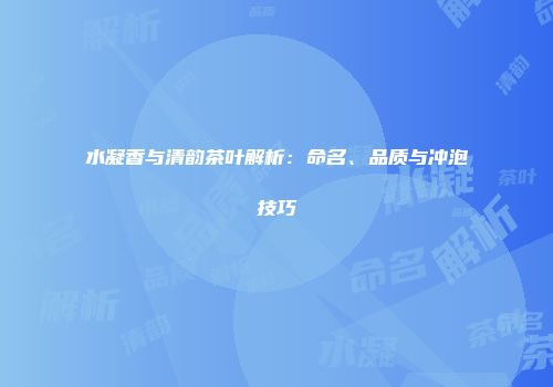 水凝香与清韵茶叶解析：命名、品质与冲泡技巧